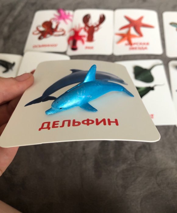 Фотография покупателя товара Развивающий набор с карточками «Водные животные», по методике Домана - Фото 14