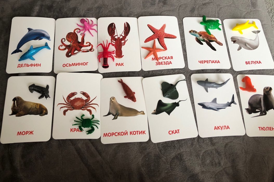 Фотография покупателя товара Развивающий набор с карточками «Водные животные», по методике Домана - Фото 10
