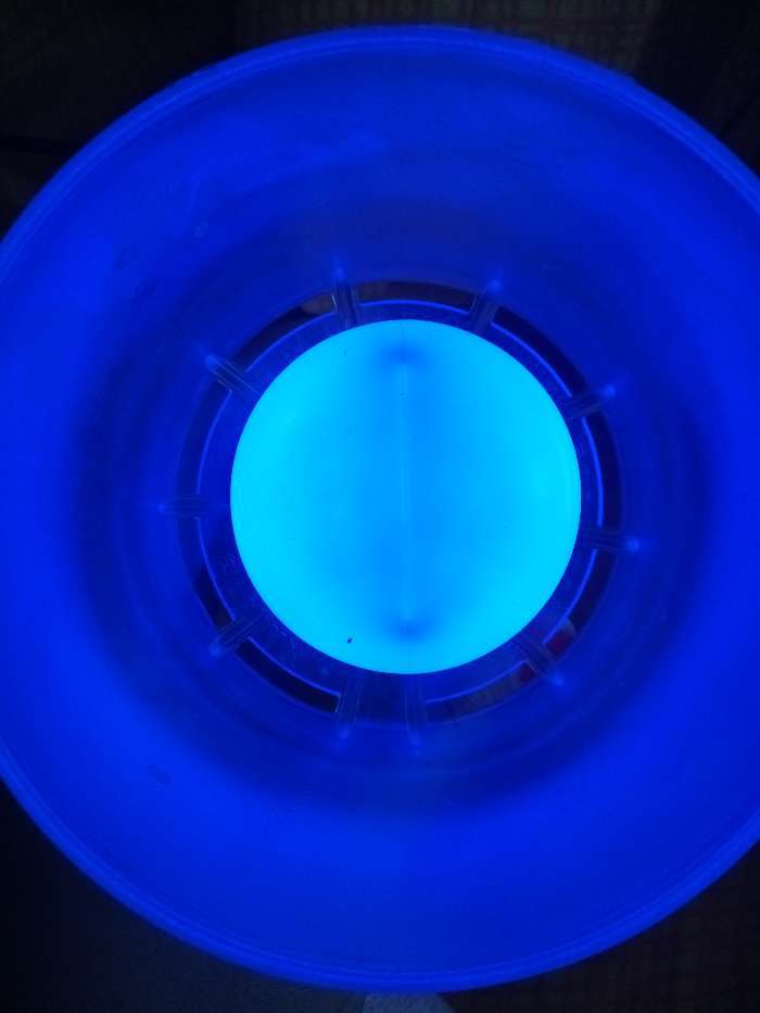 Фотография покупателя товара Лампа светодиодная декоративная Luazon Lighting "Фонарик", 5 SMD2835, для белт-лайта, синий - Фото 5