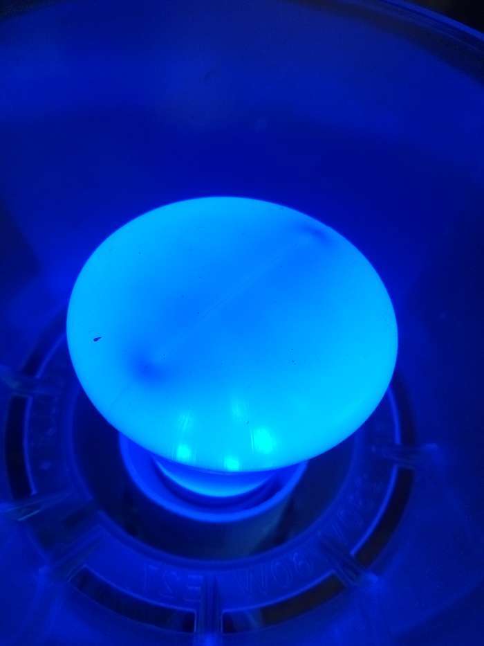 Фотография покупателя товара Лампа светодиодная декоративная Luazon Lighting "Фонарик", 5 SMD2835, для белт-лайта, синий - Фото 4