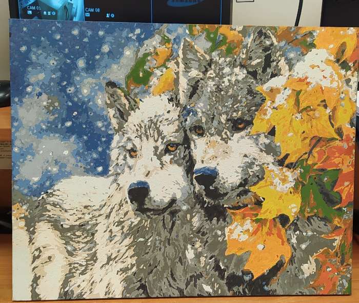 Фотография покупателя товара Картина по номерам «Пара волков» 40 × 50 см