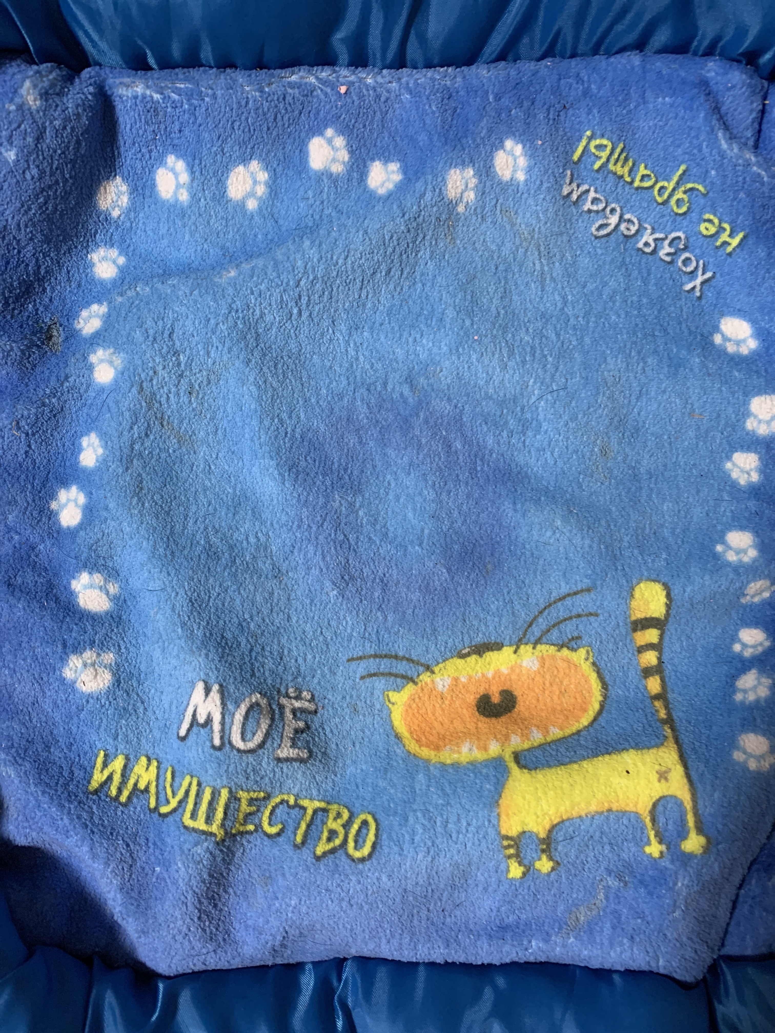 Фотография покупателя товара Лежанка с бортом "Мое имущество", 42 х 42 х 5 см - Фото 1