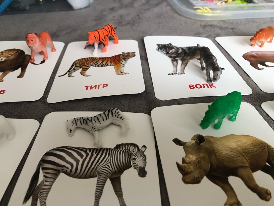 Фотография покупателя товара Развивающий набор фигурок для детей «Дикие животные» с карточками, по методике Домана - Фото 4