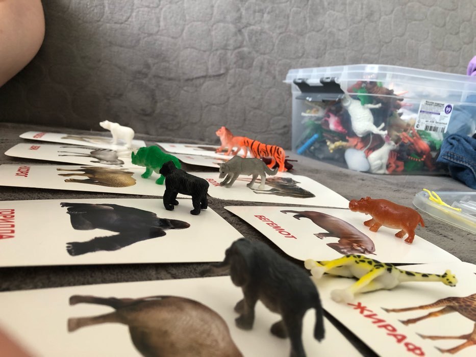 Фотография покупателя товара Развивающий набор фигурок для детей «Дикие животные» с карточками, по методике Домана - Фото 3