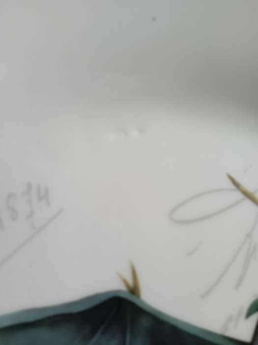 Фотография покупателя товара Тарелка фарфоровая обеденная Доляна «Дракоша», d=25,5 см, цвет белый