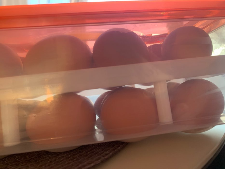Фотография покупателя товара Контейнер для хранения яиц, 24 ячейки, двухуровневый, цвет МИКС - Фото 2