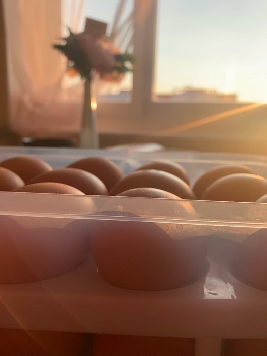 Фотография покупателя товара Контейнер для хранения яиц, 24 ячейки, двухуровневый, цвет МИКС - Фото 3