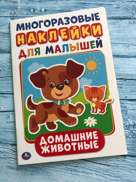 Фотография покупателя товара Многоразовые наклейки «Домашние животные», формат А5, + 50 наклеек, 145 × 210 мм - Фото 3