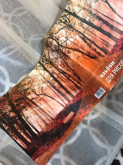 Фотография покупателя товара Альбом для рисования А4, 40 листов на скрепке "Лес осенью", обложка мелованный картон, внутренний блок офсет 100 г/м²