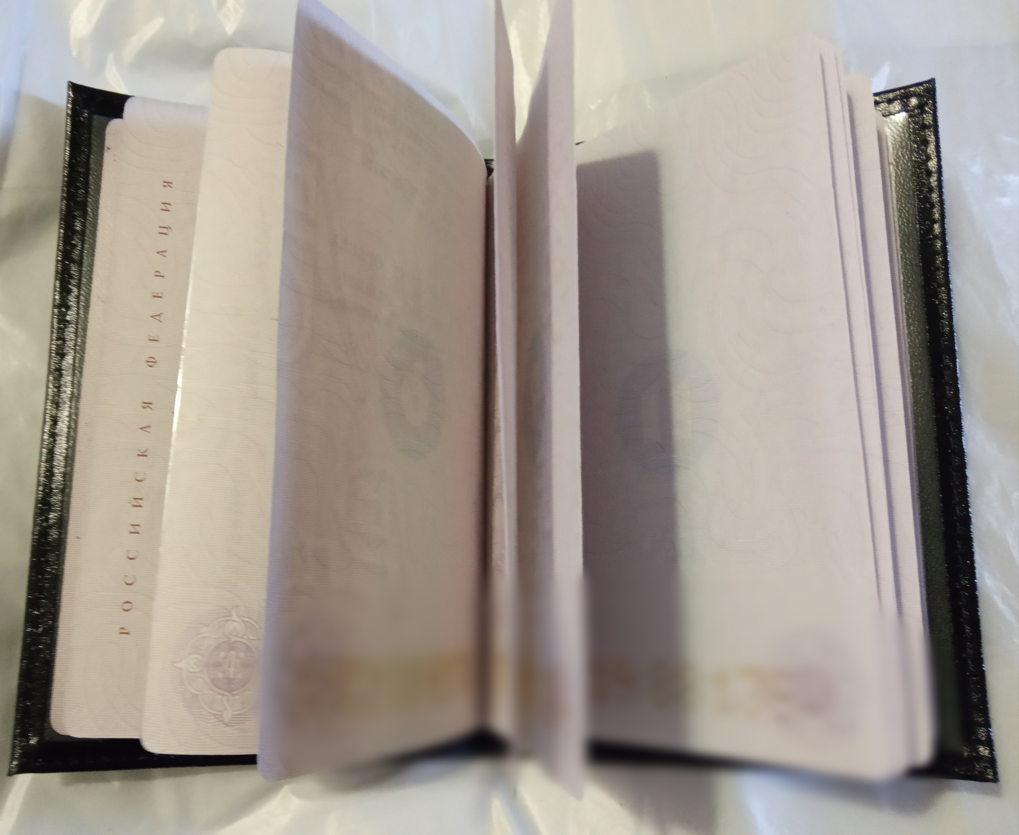 Фотография покупателя товара Обложка для паспорта, цвет зелёный - Фото 4