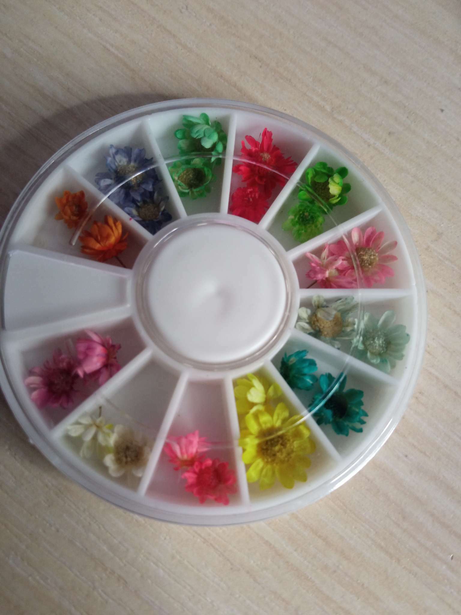 Фотография покупателя товара Сухоцветы для декора «Ромашки», объёмные, 12 видов, в футляре, разноцветные