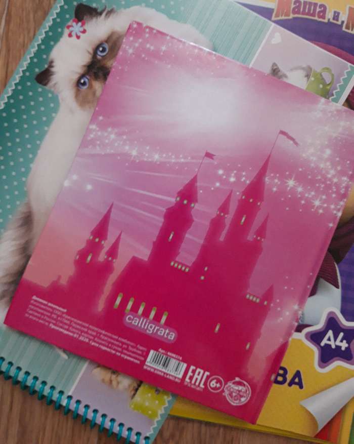 Фотография покупателя товара Дневник для 1-4 классов, "Пинки Кот", твердая обложка 7БЦ, глянцевая ламинация, 48 листов