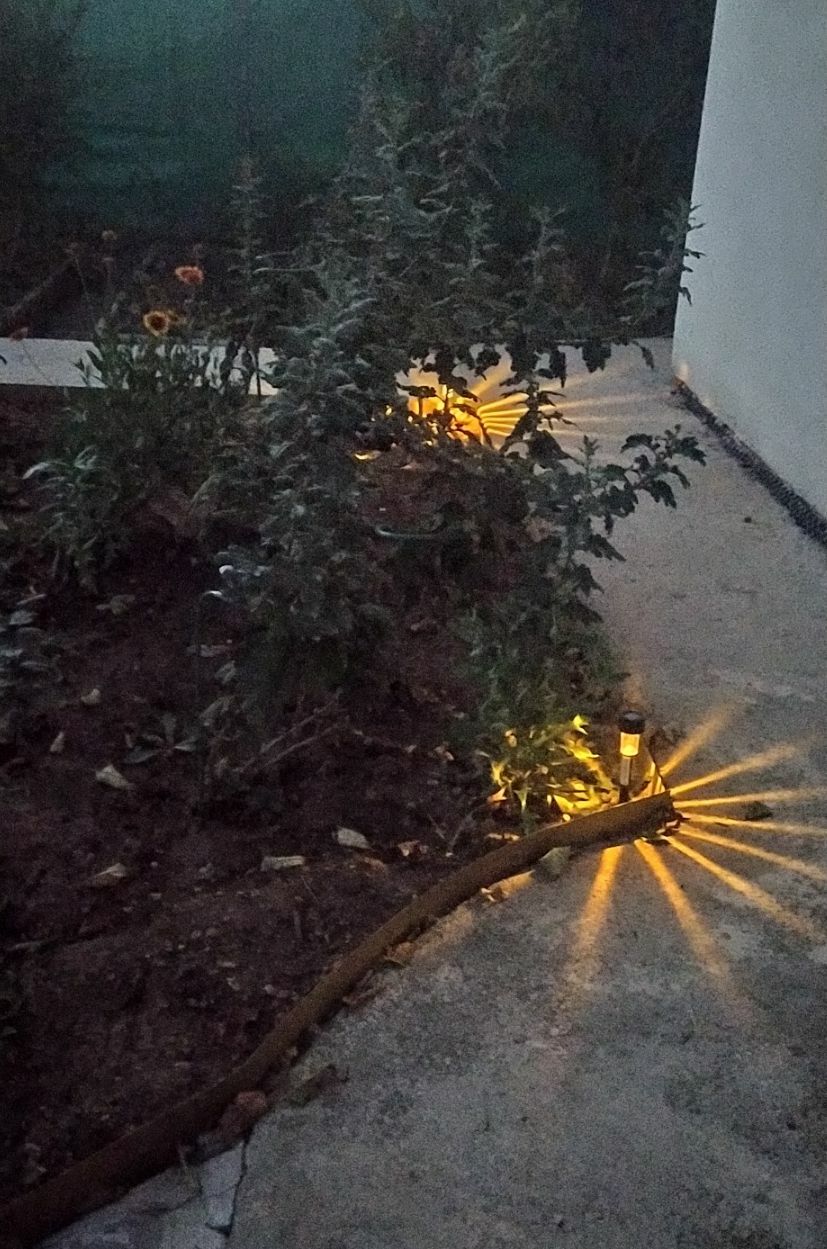 Фотография покупателя товара Садовый светильник на солнечной батарее «Цилиндр», 4.5 × 30 × 4.5 см, 1 LED, свечение тёплое белое - Фото 20