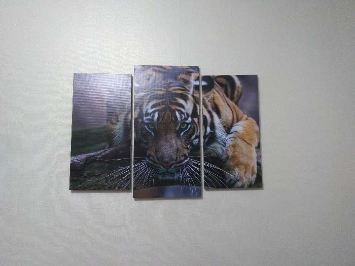 Фотография покупателя товара Модульная картина "Тигровый взгляд"  (2-25х52; 1-30х60) 60х80 см - Фото 1