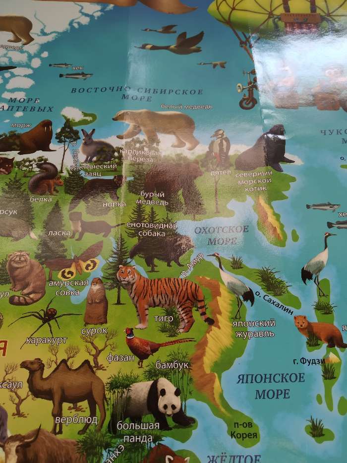 Фотография покупателя товара Карта Мира географическая для детей "Животный и растительный мир Земли", 101 х 69 см, ламинированная - Фото 35