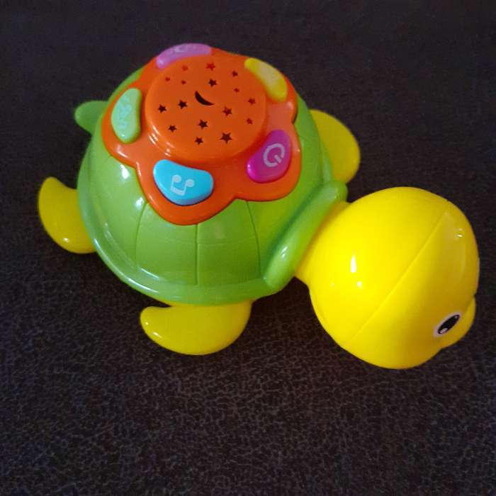 Фотография покупателя товара Музыкальная игрушка «Черепаха», световые и звуковые эффекты