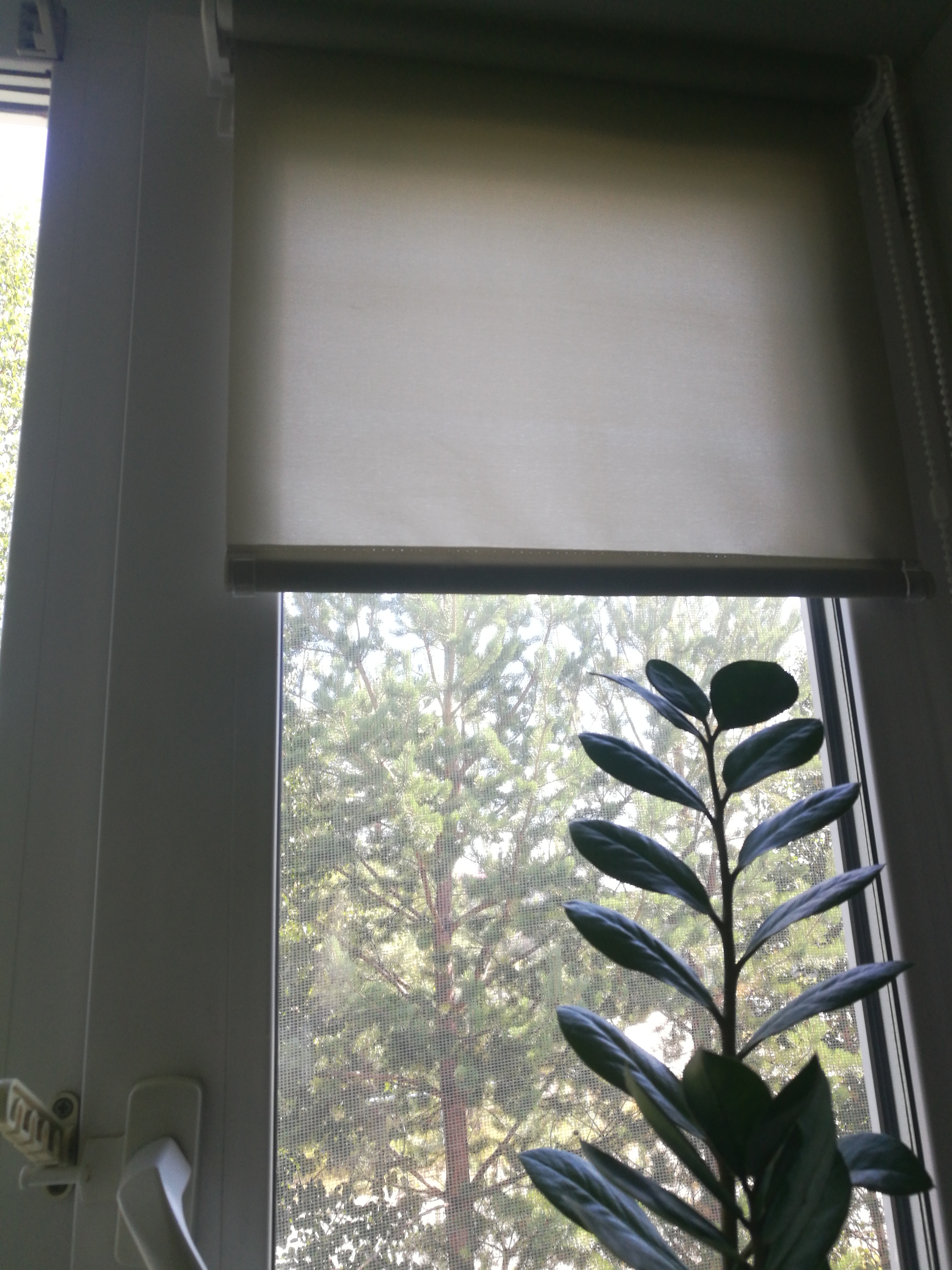 Фотография покупателя товара Рулонная штора «Комфортиссимо», 40х160 см, цвет серый - Фото 1