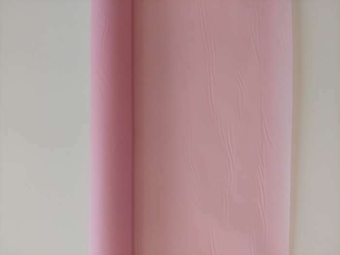 Фотография покупателя товара Пленка для цветов, матовая, пудра светлая, 0,58 х 10 м - Фото 8