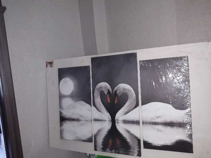 Фотография покупателя товара Картина модульная на подрамнике "Лебеди в ночи" 2шт-25х50, 1шт-30х60 ;60*80 см