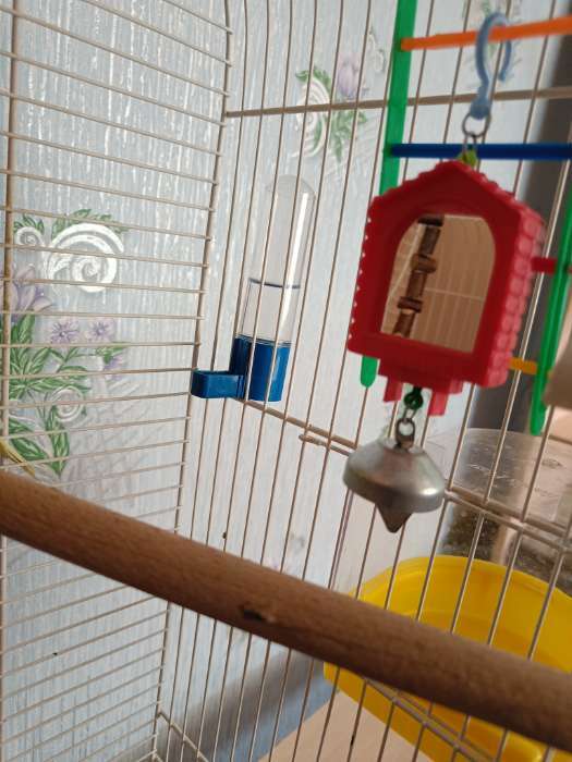 Фотография покупателя товара Игрушка для птиц зеркало двойное с металлическим колокольчиком №1 микс цветов