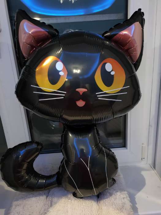 Фотография покупателя товара Шар фольгированный 14" «Кот чёрный», мини-фигура - Фото 1