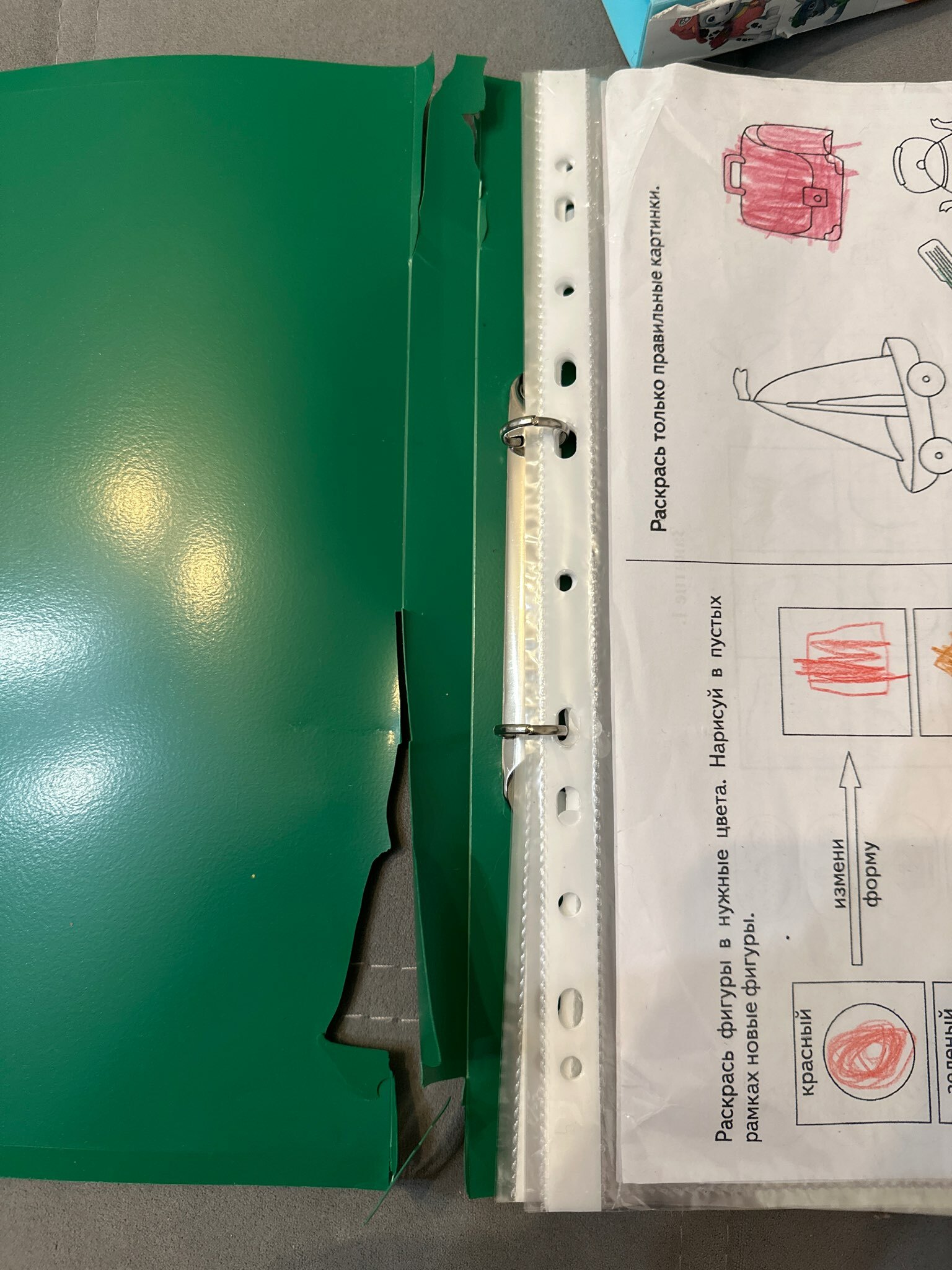 Фотография покупателя товара Папка на 2 кольцах А4, Calligrata, 18 мм, 500 мкм, зеленая