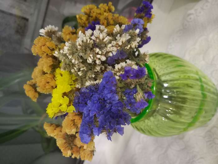 Фотография покупателя товара Семена цветов Статица Мечта флориста, смесь, О, 0,1 г - Фото 12