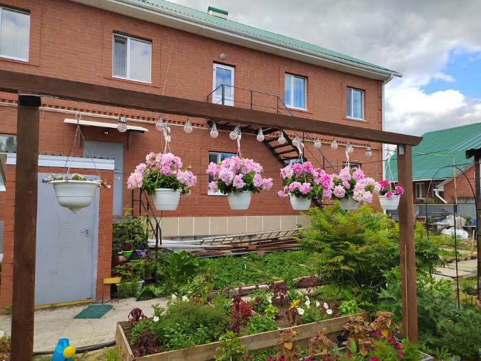 Фотография покупателя товара Семена цветов Петуния  махровая каскадная "Императрица",  F1, 8-10 шт - Фото 24