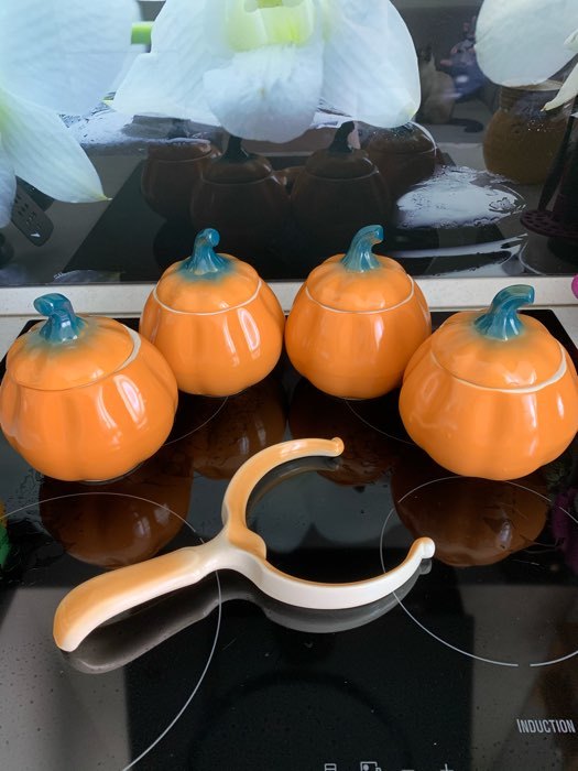 Фотография покупателя товара Набор для жаркого "Тыква", цвет оранжевый, 5 предметов: 4 горшка 0.8 л, рогач - Фото 15