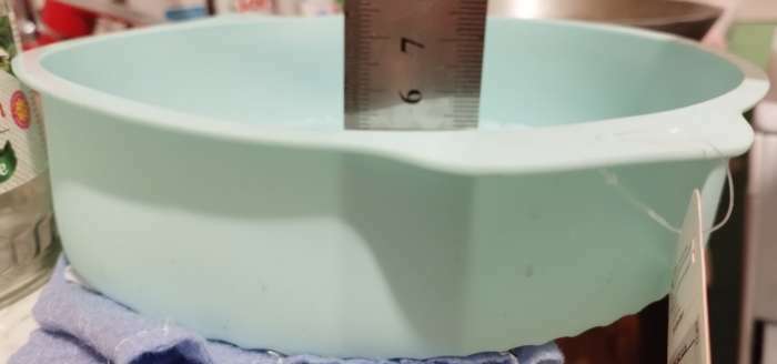 Фотография покупателя товара Форма для выпечки с ручками Доляна «Круг», силикон, 27×24×6 см, внутренний диаметр 22 см, цвет МИКС - Фото 18