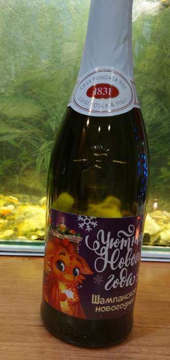 Фотография покупателя товара Наклейка на бутылку «Шампанское новогоднее», уютного нового 2024 года, 12 х 8 см - Фото 1