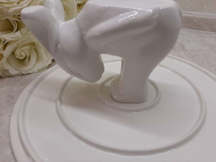 Фотография покупателя товара Подставка керамическая для торта Доляна «Кролл», 25×10 см, цвет белый - Фото 15