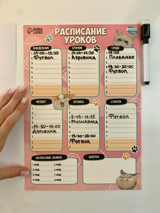 Фотография покупателя товара Расписание уроков «Милые кошечки» А4, многоразовое магнитное с маркером - Фото 2