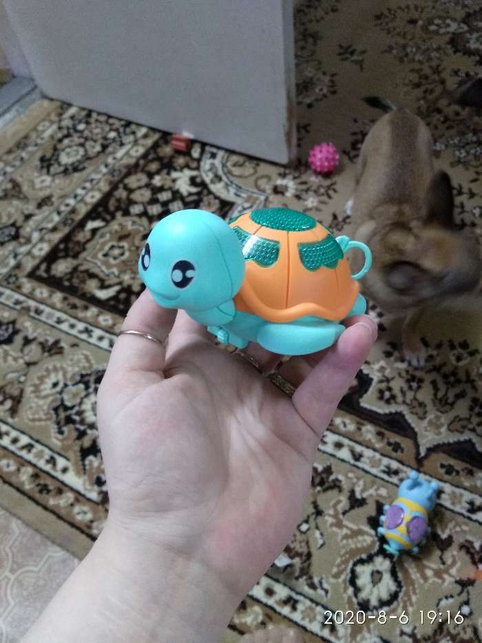 Фотография покупателя товара Игрушка заводная «Черепаха», световые эффекты, цвета МИКС - Фото 9