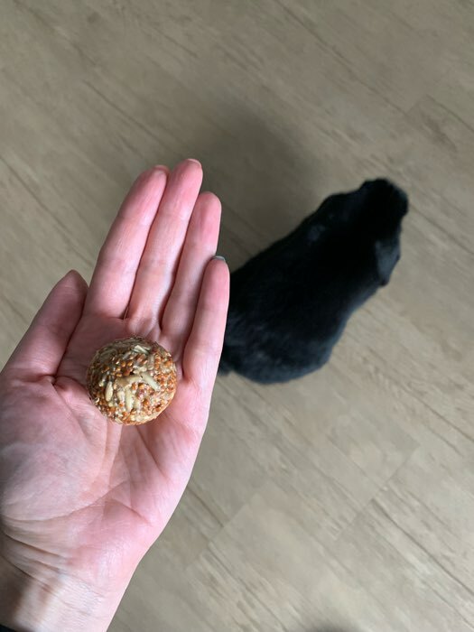 Фотография покупателя товара Медово-зерновые шарики для грызунов с орехами, 60г*3шт - Фото 1
