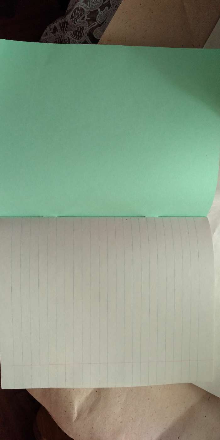 Фотография покупателя товара Тетрадь 18 листов в линейку «Зелёная обложка», блок №2, 58-63 г/м2, белизна 75%, микс - Фото 1
