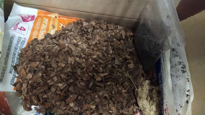 Фотография покупателя товара Грунт для мини орхидей Effect + Гумус, 1 л - Фото 2