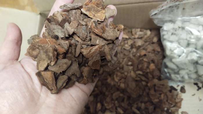 Фотография покупателя товара Грунт для орхидей Effect+ с дренажным камнем фр.10-30, 4 л. - Фото 3