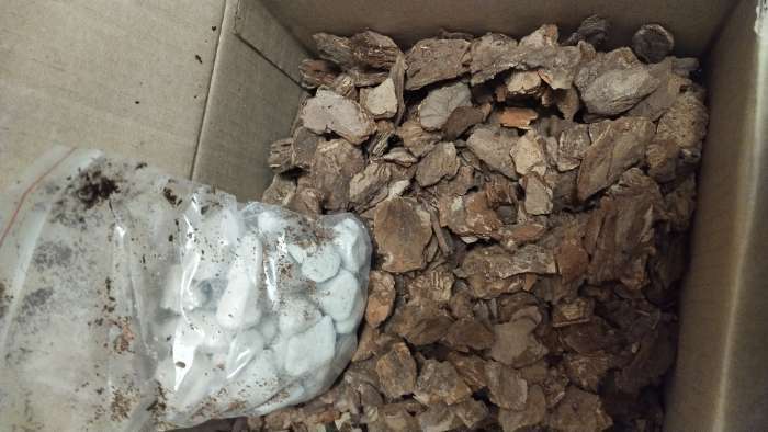 Фотография покупателя товара Грунт для орхидей Effect+, с дренажным камнем, фракция 20-40, 4 л - Фото 2