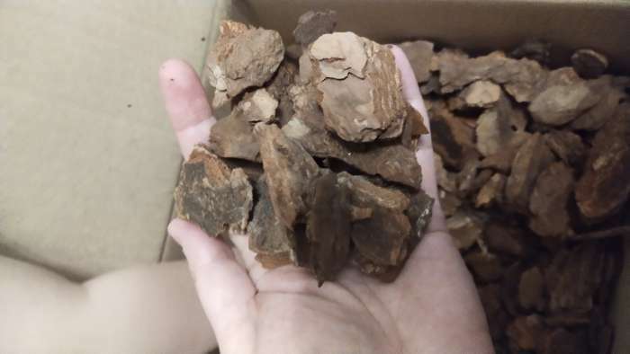 Фотография покупателя товара Грунт для орхидей Effect+, с дренажным камнем, фракция 20-40, 4 л - Фото 4