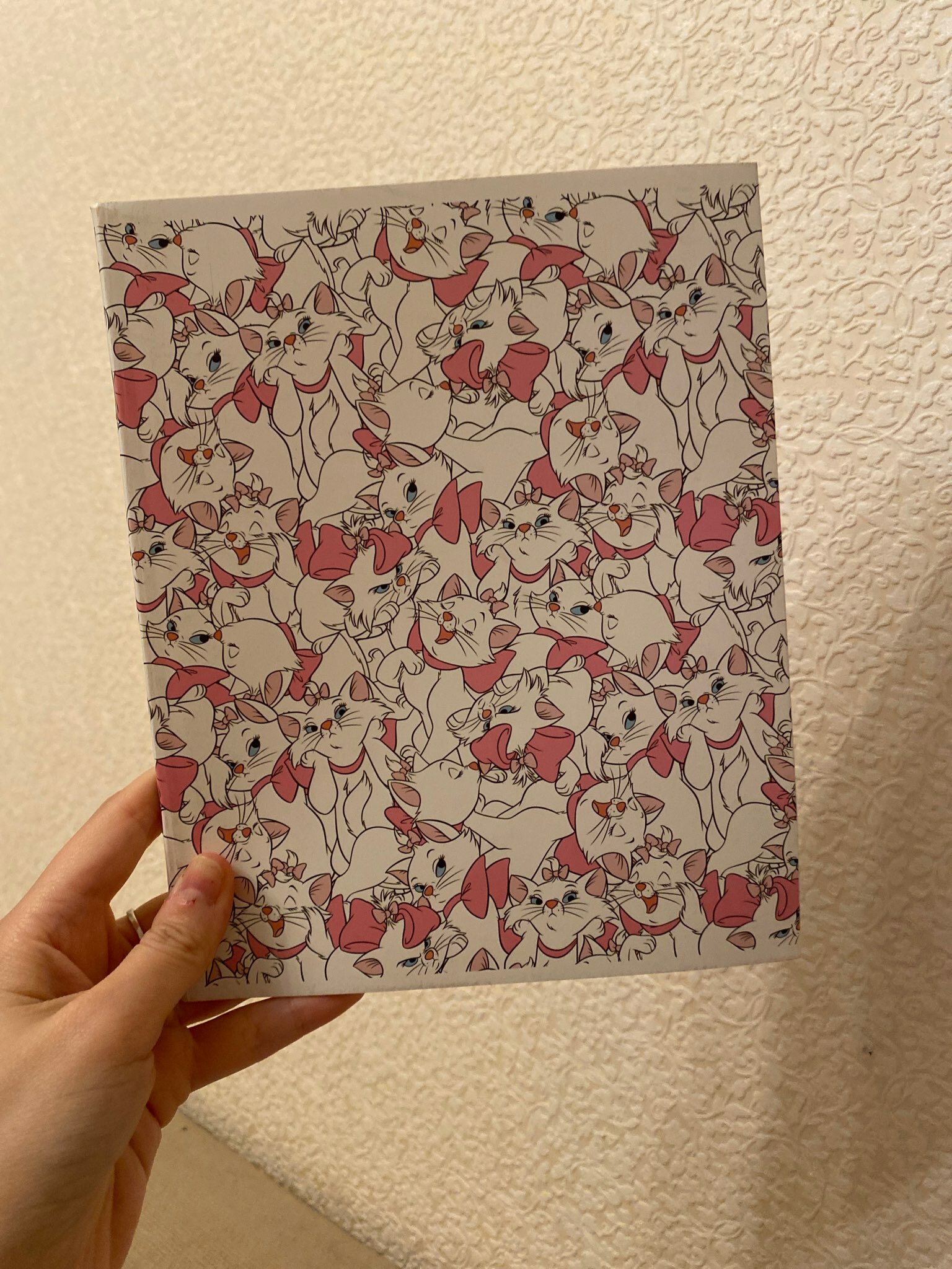 Фотография покупателя товара Тетрадь в клетку 48 л., картонная обложка «Коты-аристократы, Мари» - Фото 1