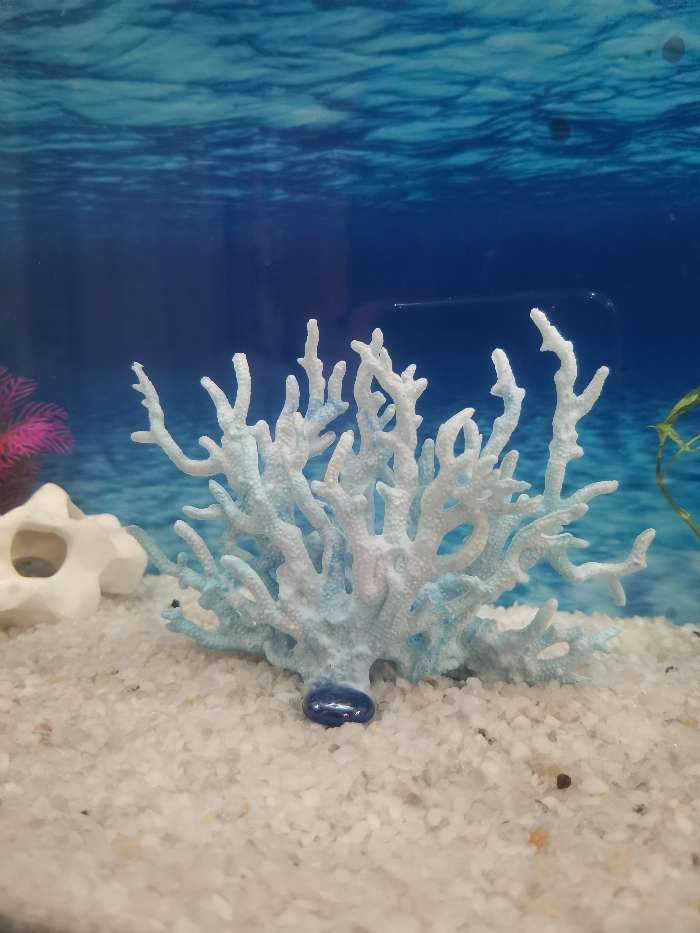 Фотография покупателя товара Коралл пластиковый малый 17 х 6 х 13 см, голубой - Фото 6