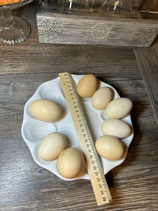 Фотография покупателя товара Блюдо пасхальное фарфоровое «Белье», d=22 см, на 12 яиц и кулич