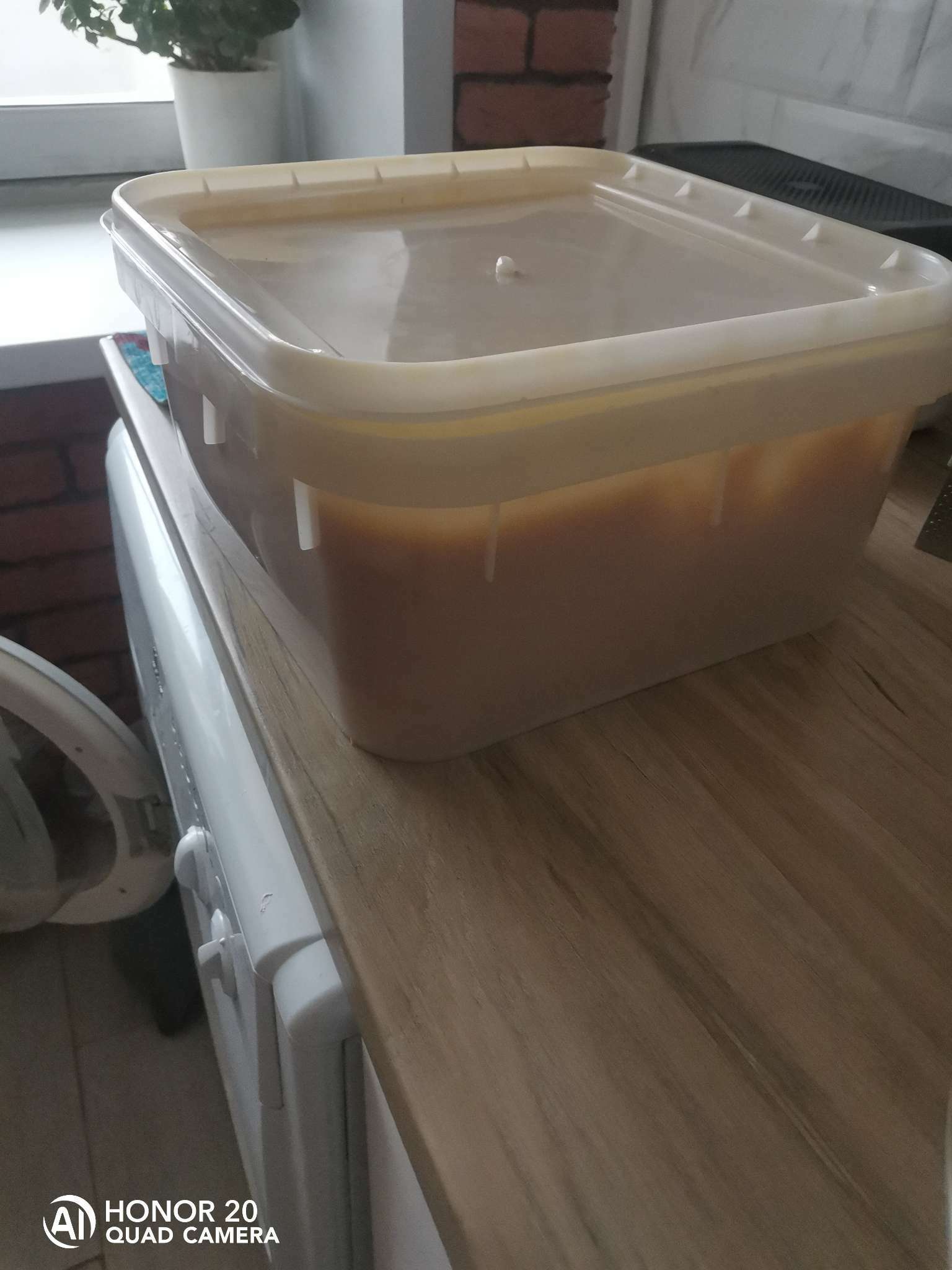 Фотография покупателя товара Мёд светлый алтайский разнотравье, куботейнер 15 кг - Фото 1