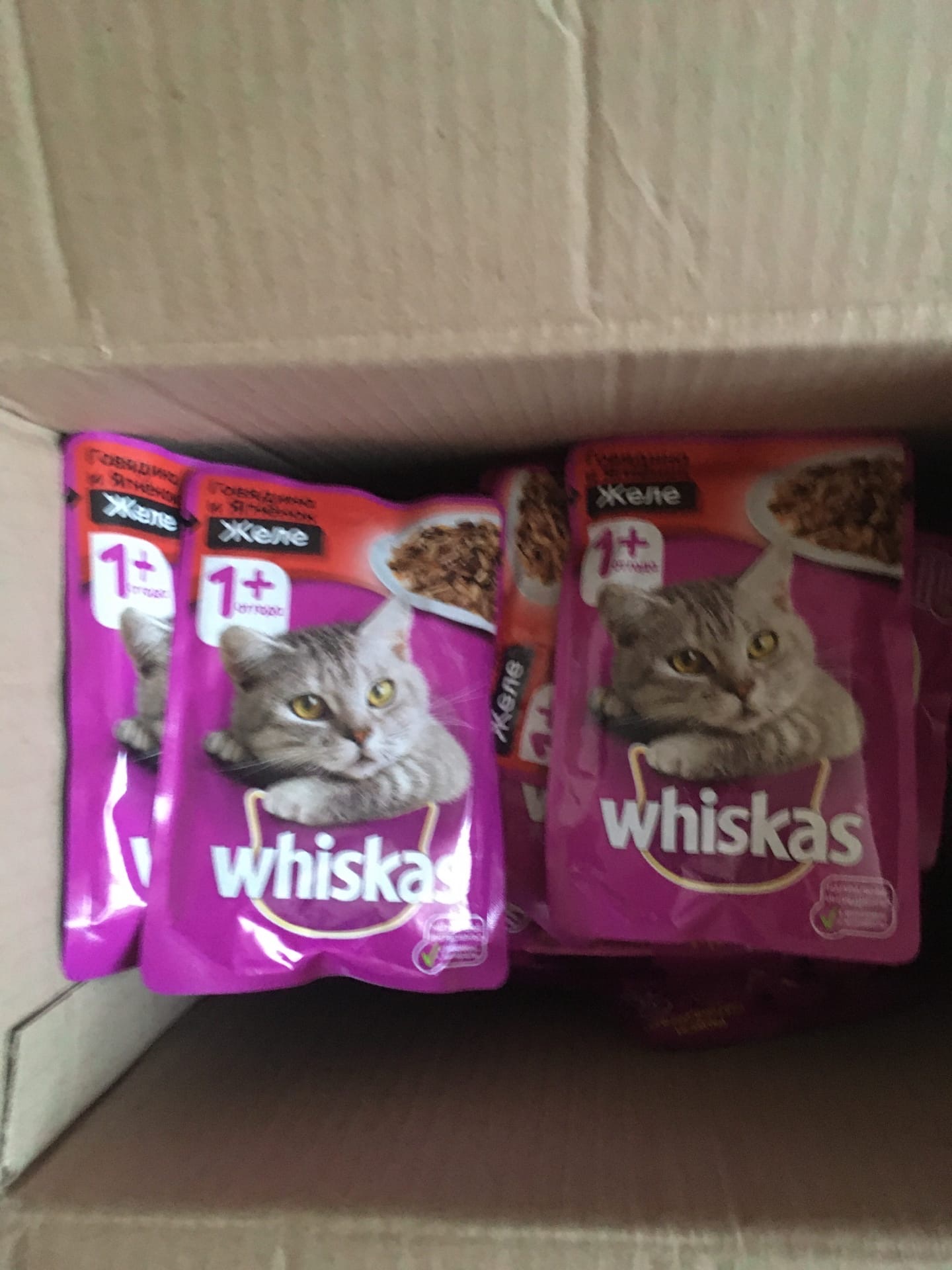 Фотография покупателя товара Влажный корм Whiskas для кошек, говядина/ягненок в желе, пауч, 85 г - Фото 1