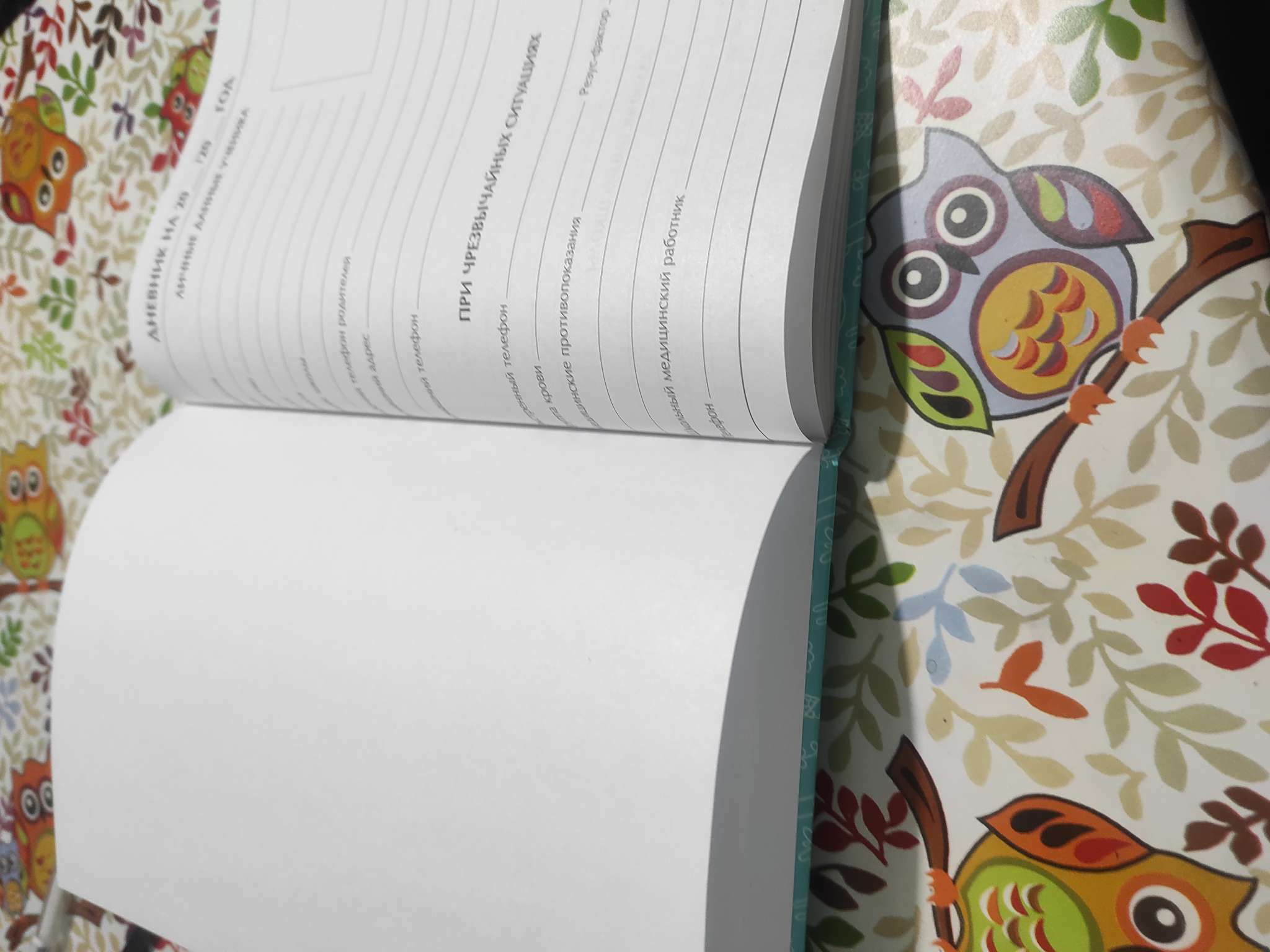 Фотография покупателя товара Дневник для 1-4 классов, "Лисичка", твердая обложка 7БЦ, глянцевая ламинация, 48 листов - Фото 3