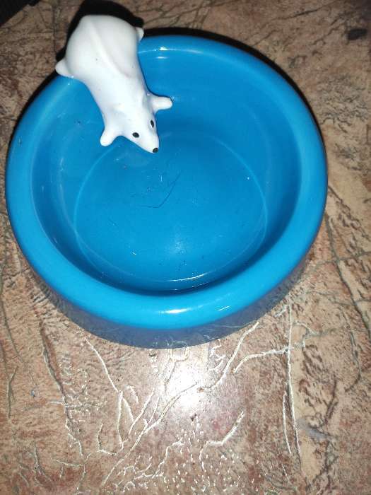 Фотография покупателя товара Миска "Белая мышка", голубая, керамика, 0.2 л