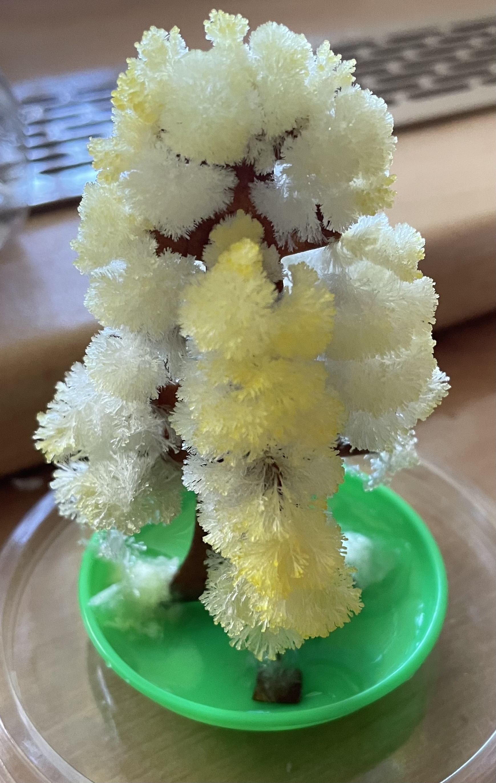 Фотография покупателя товара Набор для выращивания кристалла «Волшебное дерево» цвет жёлтый - Фото 1