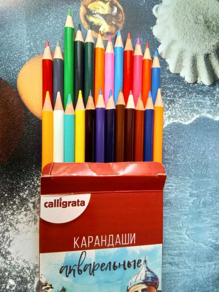 Фотография покупателя товара Карандаши акварельные 24 цвета, заточенные, в картонной коробке - Фото 5