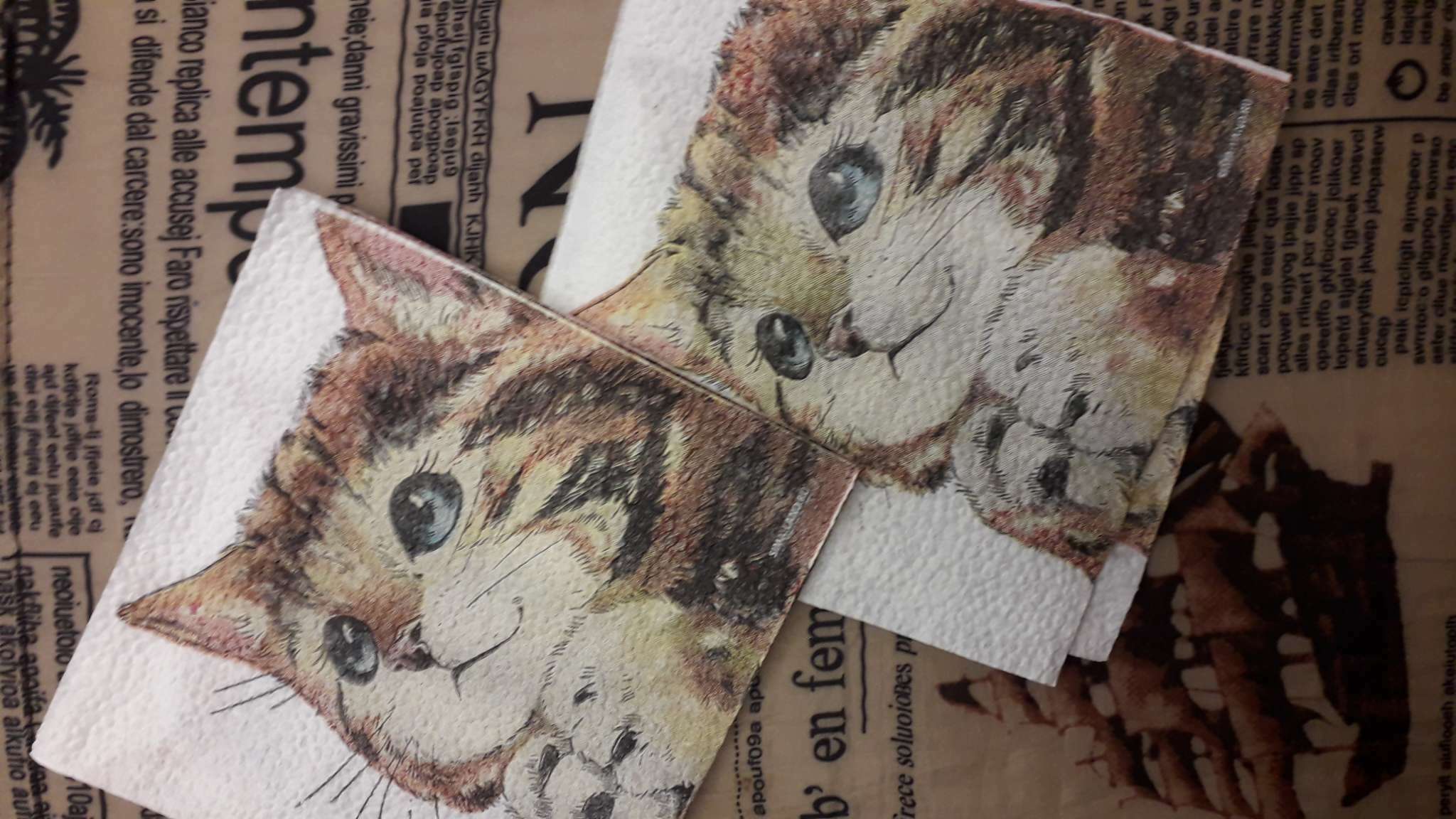 Фотография покупателя товара Салфетки бумажные однослойные «Котёнок», набор 100 штук, 24 × 24 см - Фото 10